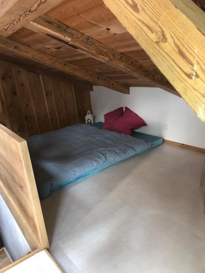Serenite Et Nature Dans Une Ferme Equestre - Studio Familial Massonnens Extérieur photo