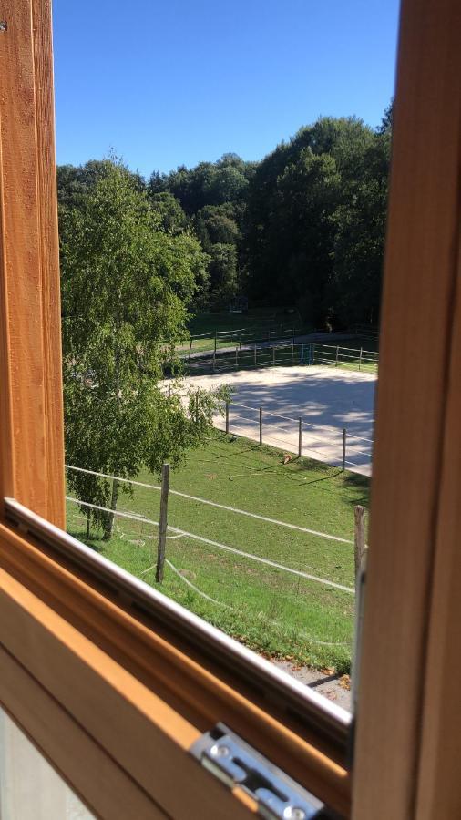 Serenite Et Nature Dans Une Ferme Equestre - Studio Familial Massonnens Extérieur photo