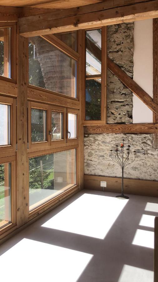 Serenite Et Nature Dans Une Ferme Equestre - Studio Familial Massonnens Extérieur photo