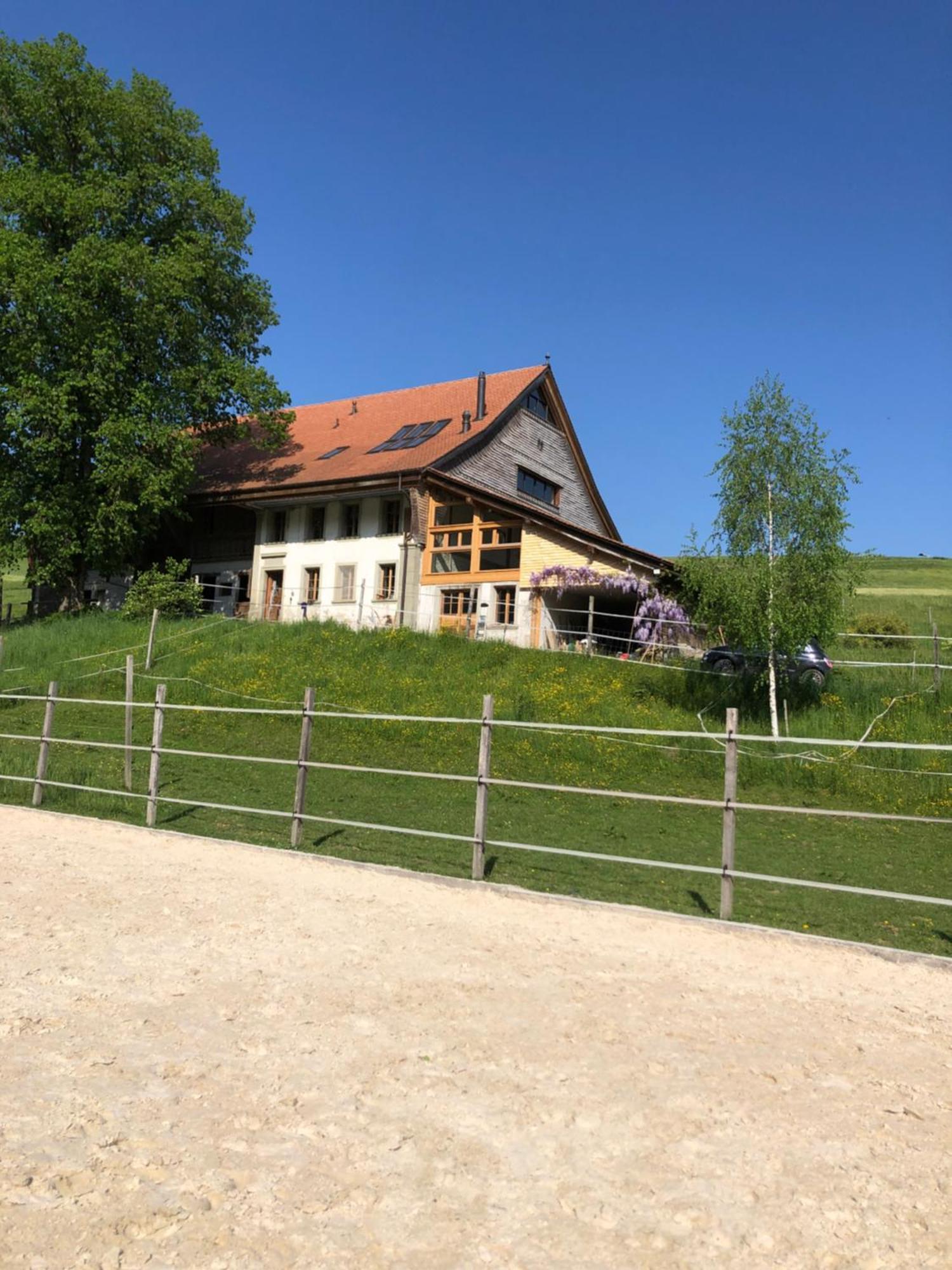 Serenite Et Nature Dans Une Ferme Equestre - Studio Familial Massonnens Extérieur photo